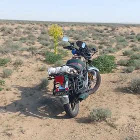 Fekon FK200-14G 2026