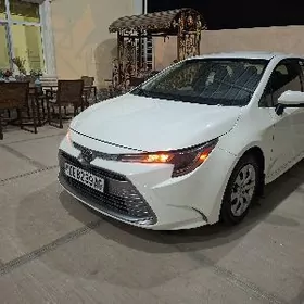 Toyota Corolla 2020