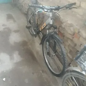 спартивный ВЕЛИК26