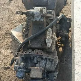 maz koropka kiçi dlutel