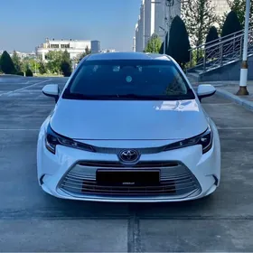Toyota Corolla 2025