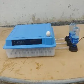 incubator 100 yumurtga