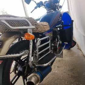 Fekon FK200-14G 2021