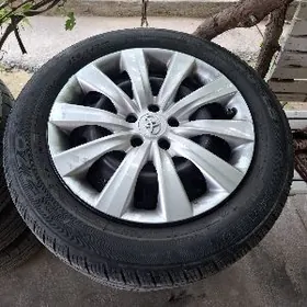 karolla diska pakryska 16 lyk