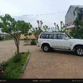 Toyota Land Cruiser 1991