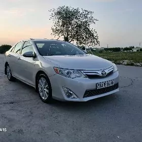 Toyota Camry 2013