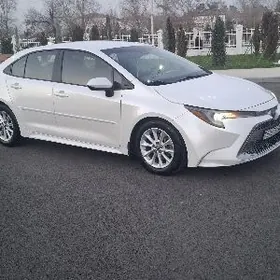 Toyota Corolla 2020