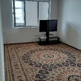 Arenda jay Talyp gyzlara