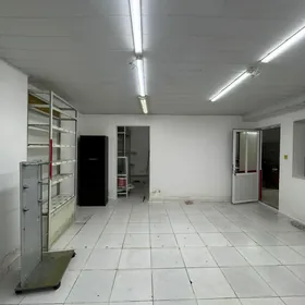 Satlyk podwal elitka asagy