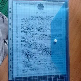 потеряна домовая книга