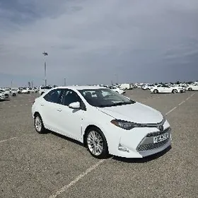 Toyota Corolla 2019
