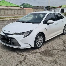 Toyota Corolla 2023
