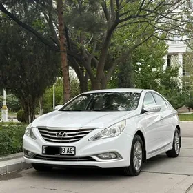 Hyundai Sonata 2011