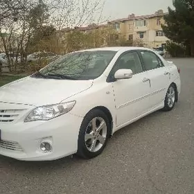 Toyota Corolla 2008