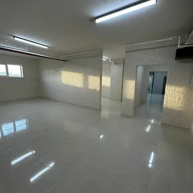 Satlyk gurtly polpodwal