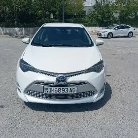 Toyota Corolla 2018