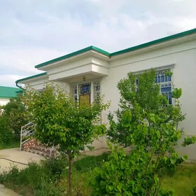 Taze zaman 2 tapgyr  4komnat