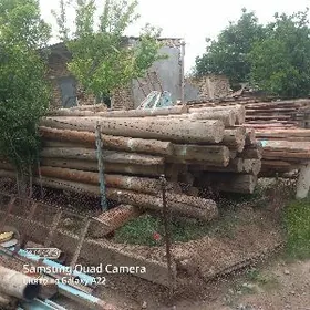 agaç tutyş pylan jaýyñ