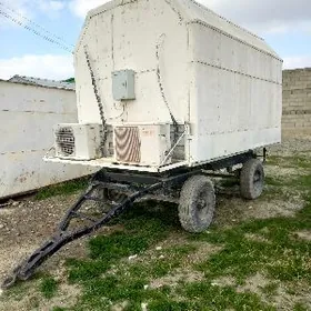 Toy sowadyjy holadynyk