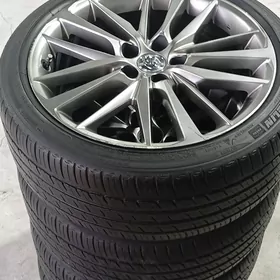 Cemry Disga Teker 19 lyk org