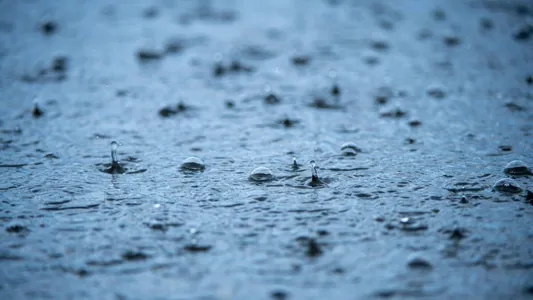 Исследование показало, почему дождь помогает мозгу воспринимать мир иначе