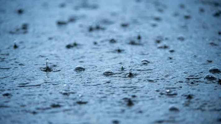 Ysy – melhem, sesi – em: ýagşyň imrindiriji güýjüniň syry açylýar