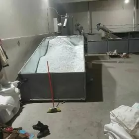 Baklaşka üweýän drobilka