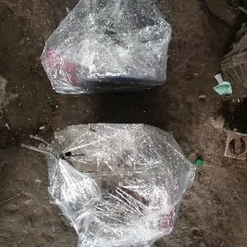 karopka karolla 2008/2013