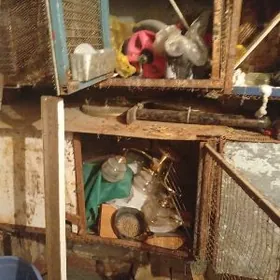 клетки___ketek