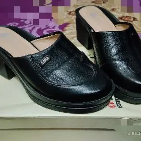 Őňi ýapyk kabluk şypbyk