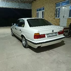 Bmw zapjas