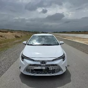Toyota Corolla 2021