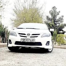 Toyota Corolla 2013