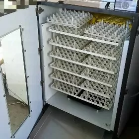 Инкубатор/inkubator