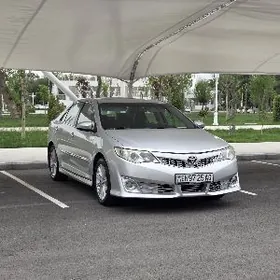 Toyota Camry 2013
