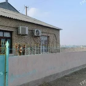 ☆ Änew oputnyÿ ☆ howly jaÿ