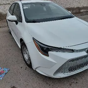 Toyota Corolla 2021
