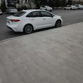 karolla  camry disga