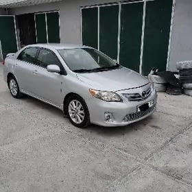 Toyota Corolla 2010
