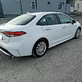 Toyota Corolla 2021