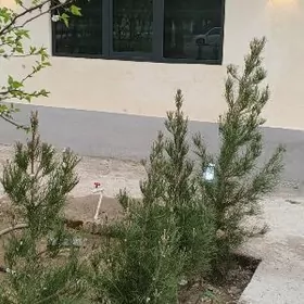 30Мкр 1Этаж 3Комнаты Евро Рем