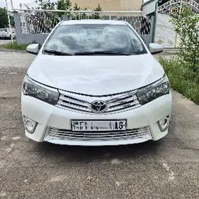 2014 carolla haliji oni