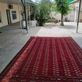 ARTIL TURKMEN EL HALY 5/3.20