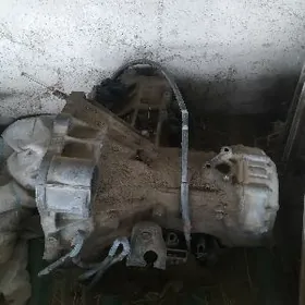 2 lik mator babyçka