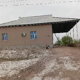 Daśaguz welayat S.Túrkmenbaŝy