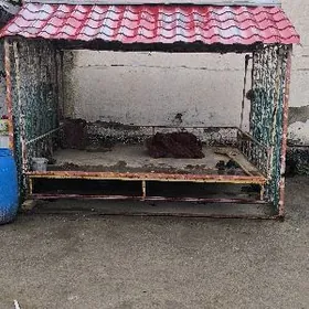 krawat hêm hinnelik