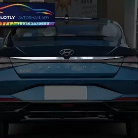 Elantra Bagaž Nikel