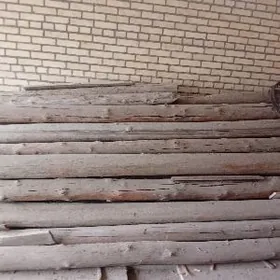 beryaza gyzyl agaclar