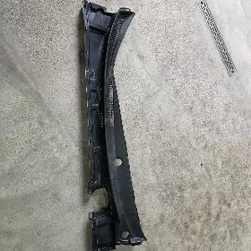 karolla dwornik plasmas