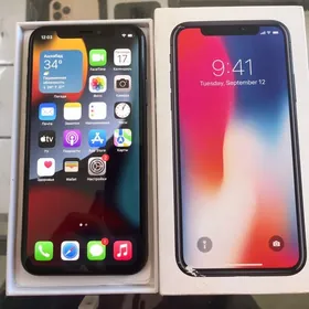 iPhone X